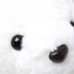 White Teddy bear back pack with black loop and adjustable straps